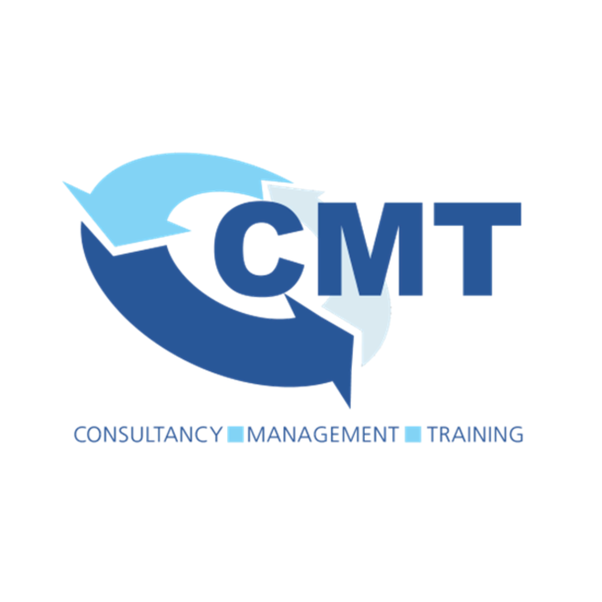 A logo of CMT Services, an organisation who help people in Taunton with finding a job