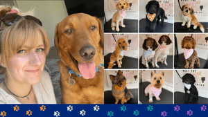 A photo of Hayley with a dog and a collage of 9 dogs that she has groomed